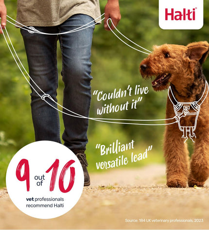 Company of Animals Groen dog product showing a close-up of the dog harness with green color and adjustable straps.