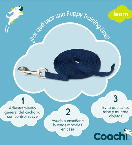 Blue Coachi dog leash, 2.5 meters long, designed for training and walking dogs, made of durable material.