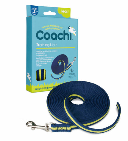 Blue Coachi dog training leash with sturdy nylon strap and metal clip, designed for control and safety during walks.
