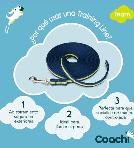 Blue Coachi dog training leash with sturdy handle and secure clip, designed for comfortable walking and training.