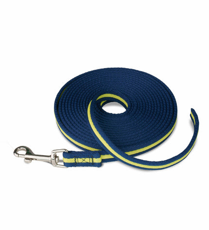 Blue Coachi dog training leash with sturdy handle and metal clip for secure control during walks.