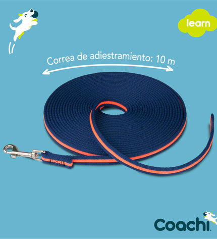 Blue Coachi 10m dog training leash, durable nylon training band for dogs, firm grip, ideal for obedience training and walks.