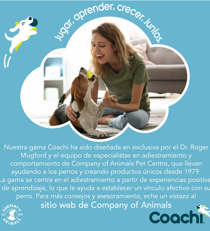 Blue Coachi training resistance band for dogs, durable and flexible exercise accessory for canine training sessions.