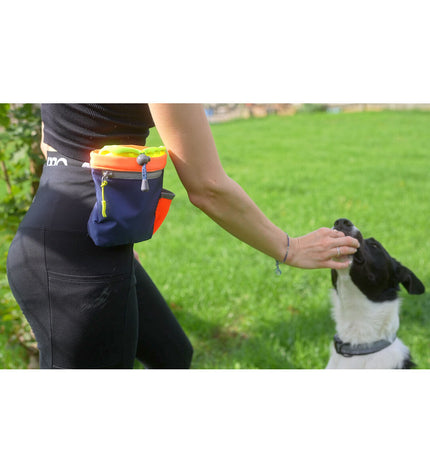 Coachie Train & Treat dog training holder in blue coral with compartments for treats and training accessories.