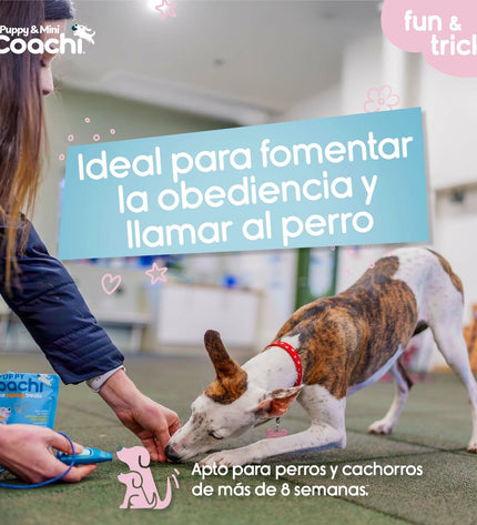 Coachi Hondentuigje for dogs, adjustable pet harness with padded straps, in a neutral color, designed for comfort and control.