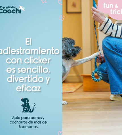 Coachi Hondentuigje voor honden, zacht en verstelbaar met clip sluiting, comfortabel en veilig voor dagelijkse wandelingen.