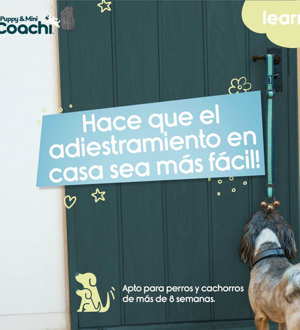 Coachi Hondentuigje for dogs, adjustable black dog harness with padded straps and metal buckles for comfortable fit.