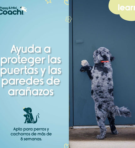 Coachi Hondentuigje for dogs, adjustable black harness with padded straps and metal buckle, designed for pet comfort and control.