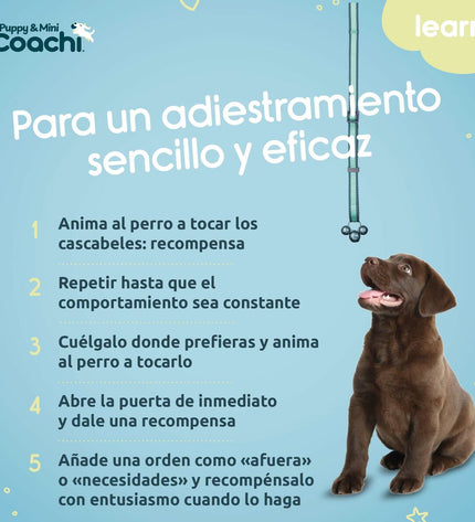 Coachi Hondentuigje voor honden, comfortabele en verstelbare hondenharnas met clip voor veilig wandelen.