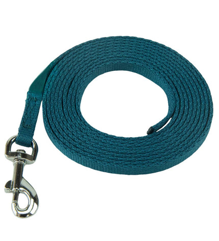 Green Coachi puppy and mini training leash, 2.5 meters long, designed for dogs, made of durable materials.