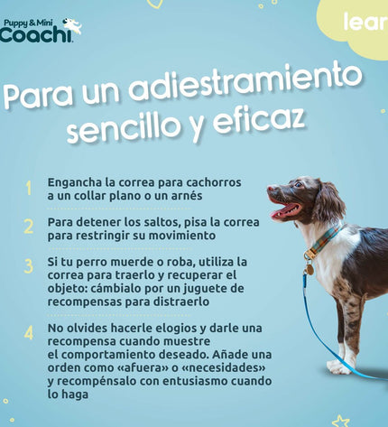 Green Coachi Puppy & Mini training band for dogs, 2.5m long, with durable nylon material, ideal for training and walking your puppy.
