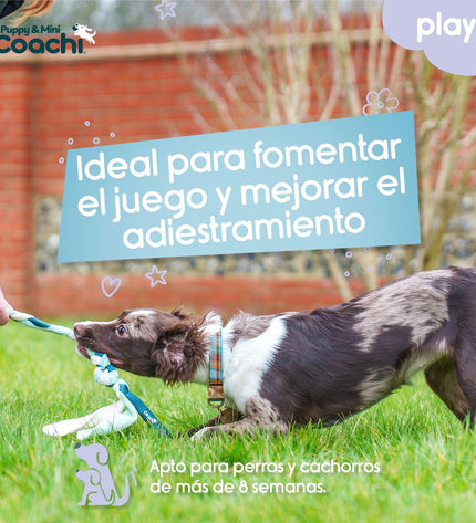 Blue Coachi Hondentuigje for dogs with adjustable straps and breathable material, designed for comfortable and secure fit.