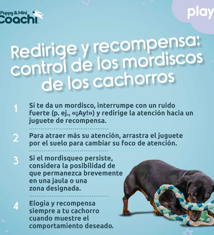 Coachi Hondentuigje for dogs, adjustable black harness with padded straps and buckles, suitable for comfortable walking.