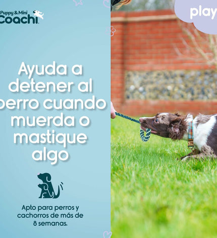 Hondentuigje Coachi voor honden, zacht en verstelbaar met duurzame banden, geschikt voor comfortabele hondenhalsbanden.