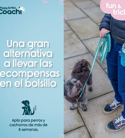 Coachi Hondentuigje, comfortabel hondenharnas met verstelbare bandjes en stevige materialen voor veilige wandelingen.