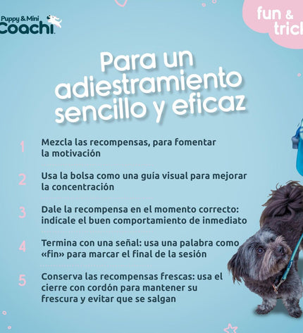 Coachi Hondentuigje for dogs, soft adjustable harness with clips, in neutral color, designed for comfortable pet walks.