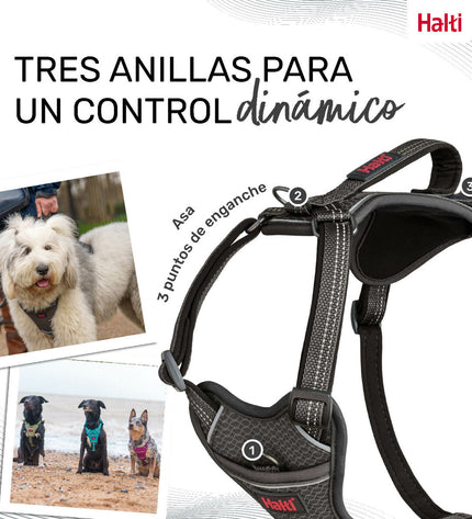 Gray Company of Animals dog harness for small dogs, adjustable 28-42 cm, comfortable and secure pet accessory.