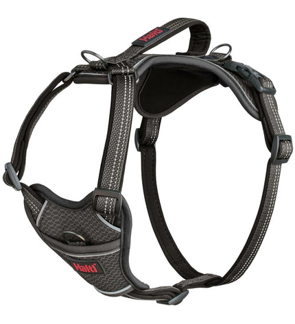 Gray Company of Animals dog harness in XL size, suitable for 50-78 cm necks, shown on a dog.