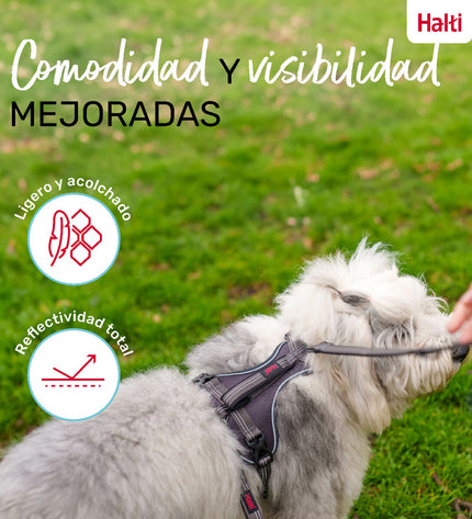 Gray Company of Animals dog harness in XL size for 50-78 cm neck, shown on a dog with adjustable straps.