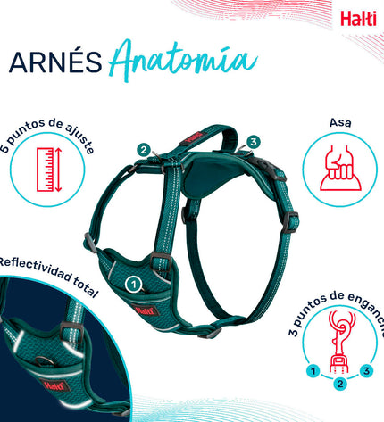 Blue Company of Animals dog harness in turquoise, size medium, adjustable for neck 35-55 cm, suitable for pets.