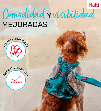 Company of Animals turquoise dog harness for medium-sized dogs, adjustable 35-55 cm, made of durable material.