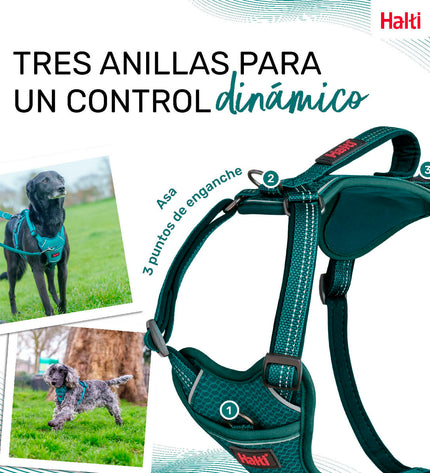 Blue XL Company of Animals dog harness for large dogs, adjustable from 50-78 cm, made of durable material.