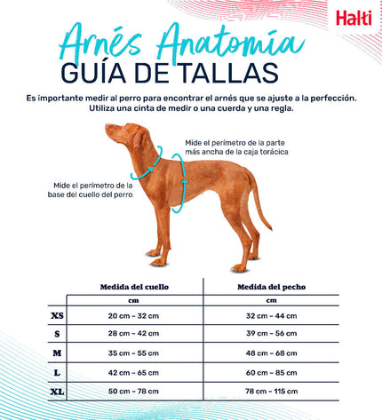 Turquoise Company of Animals XL dog harness for large dogs, adjustable 50-78 cm, durable pet harness for dogs.