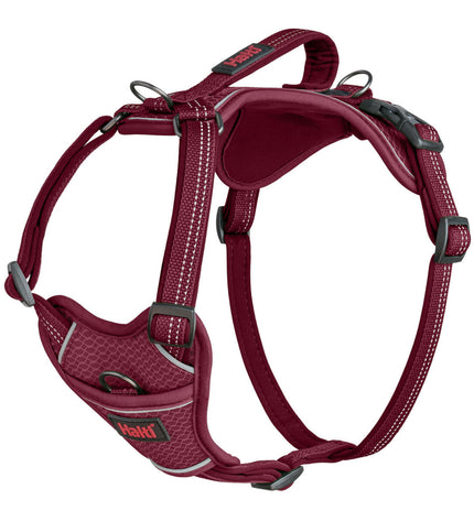 Company of Animals Bordeaux dog harness in size S, adjustable 28-42 cm, made for comfortable dog restraint and control.