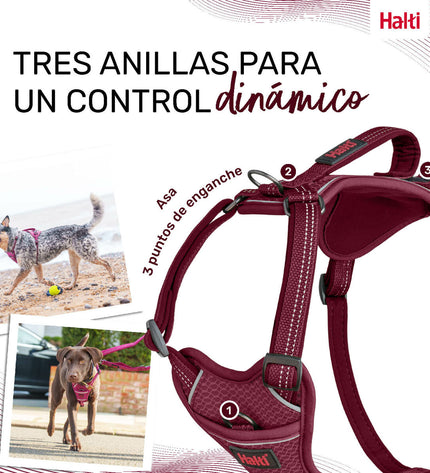 Company of Animals Bordeaux dog harness in XL size, adjustable for neck 50-78 cm, durable pet product for dogs.
