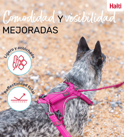 Company of Animals Bordeaux XL dog harness, adjustable for neck 50-78 cm, sturdy pet harness for large dogs.