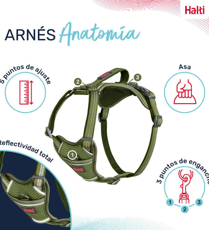 Green XL dog harness by Company of Animals, adjustable for 50-78 cm neck size, made of durable material for pets.