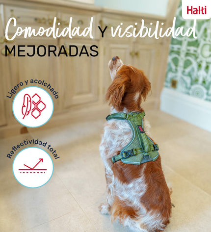Green XL Company of Animals dog harness with adjustable 50-78 cm size, designed for comfortable pet control.