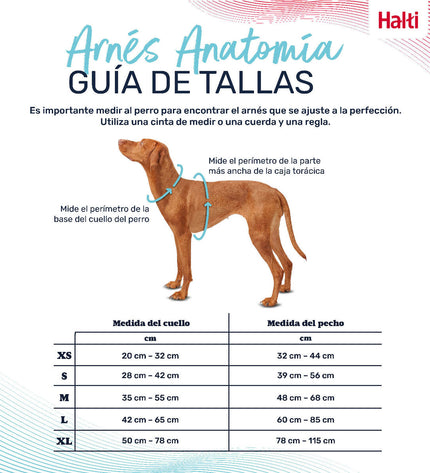 Company of Animals Groen XL dog harness for large dogs, adjustable 50-78 cm, made of durable material for comfortable control.