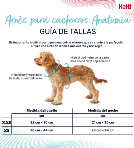 Gray Company of Animals dog harness for small dogs, adjustable from 28 to 44 cm, in a close-up showing the fabric and buckle.