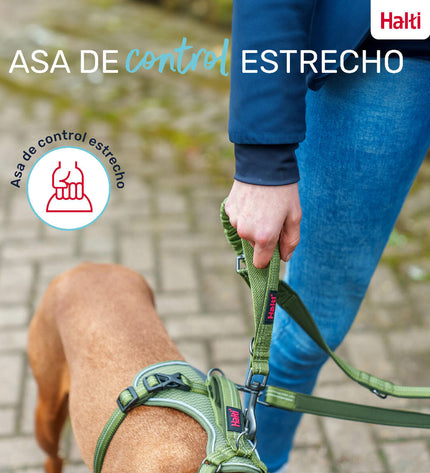 Blue Company of Animals dog leash with padded handle and sturdy clip, designed for comfortable walks and secure control.