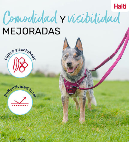 Company of Animals Bordeaux S dog leash with durable nylon strap and metal clasp, suitable for small to medium dogs.