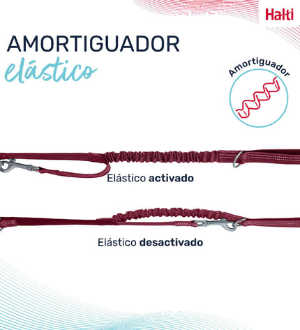 Company of Animals Bordeaux dog leash with durable nylon strap and metal clasp, suitable for small to medium-sized dogs.