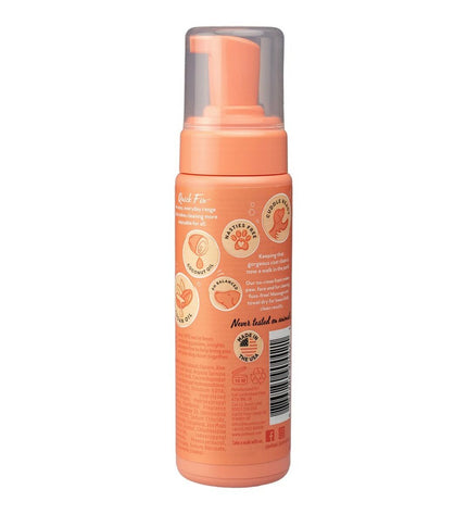 Pet Head Quick Fix Peach cleaning foam for dogs, 200 ml, showing the bottle with peach-flavored pet grooming product.