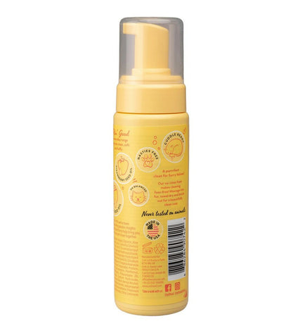 Pet Head Felin' Good Kat Shampoo with foam for cats, showing the shampoo bottle and foam lather on a cat's fur.