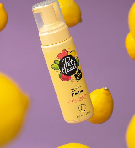 Pet Head Felin' Good Kat Shampoo bottle for cats with a white and purple label, featuring a cat illustration on a clean background.