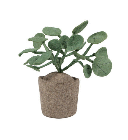KidsDepot plant Pileo Pepero - Green