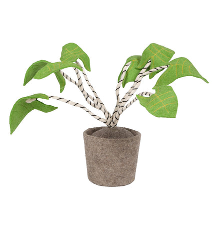 KidsDepot Zebrina plant - Green