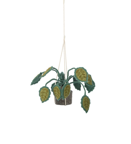 KidsDepot plant Big Leaves - Green