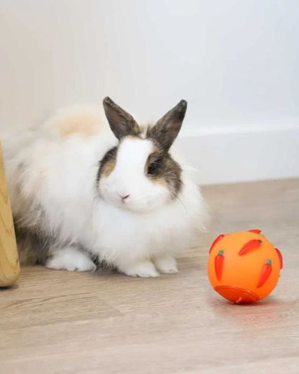 V2HC54F20FAC1E779A9E8FCE4CF4DBECF67R7437143P3