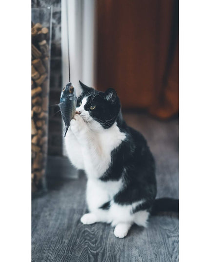 V2HBE36A12882A851AA8696FD73D3FAB28DR7436899P9