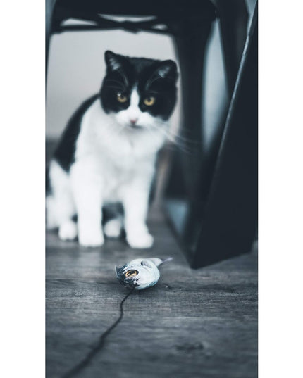 V2HC32EC1688ABB41F6E11AE34105D49342R7436901P10