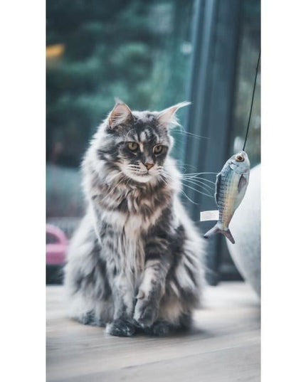 V2HB010CBA1A02F61A6347F3B5D8323C5CCR7436891P3