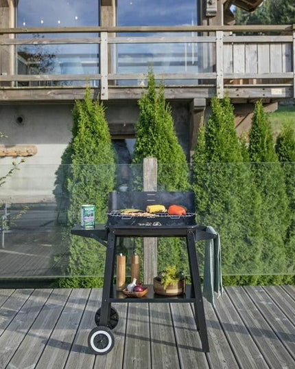 V5H51A79A4D60656781DAF38C60754391F5R7383615P6