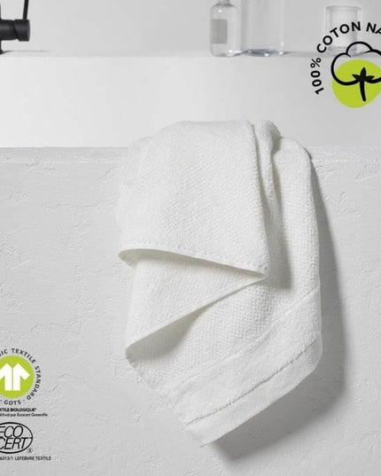 V3H15498E937717115624E2256839A47247R5838556P1