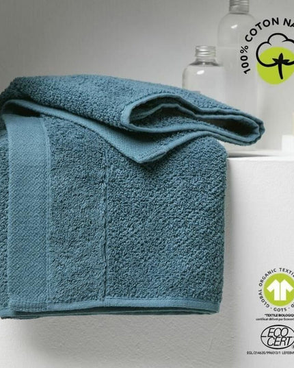 V3H4282E49CFE188E48495EA344D4228D9FR5838713P1